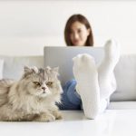 Pros and cons of working from home